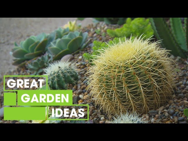 How to Create a Succulent Garden | Gardening | Great Home Ideas class=