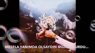 Mesela Yanımda Olsaydın Güzel Olurdu (şiir) Resimi