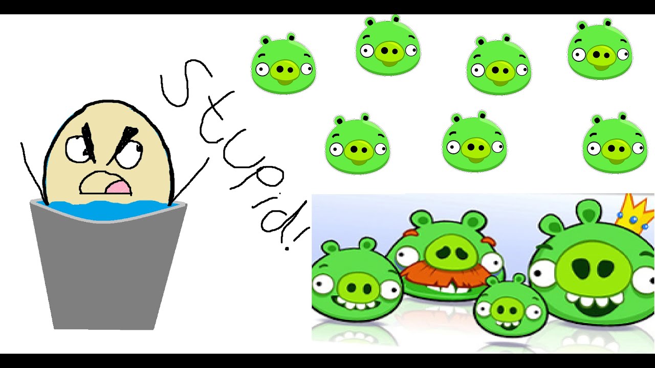 Angry birds pigs are stupid?