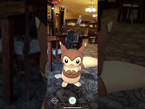 Furret becomes an