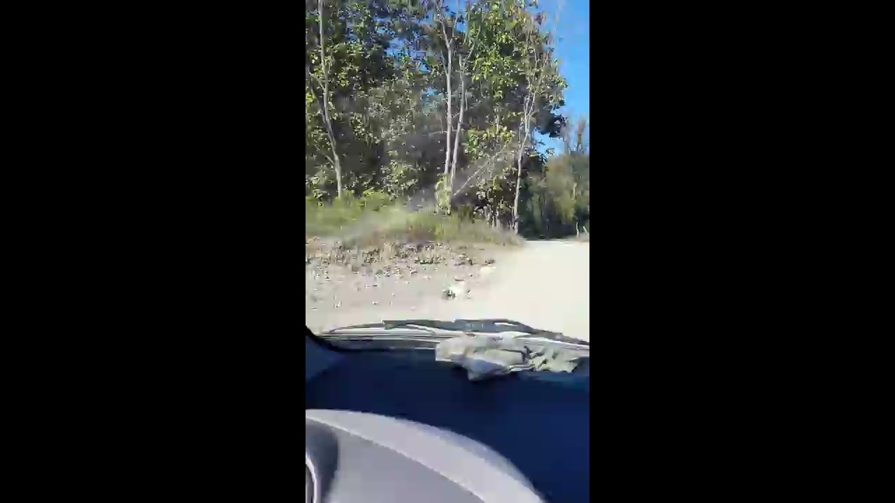 Sitabani Temple Visit: Nature, Mythology, and Peace in Ramnagar