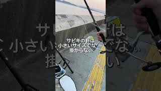 和歌山マリーナシティ 早朝巡回 fishingmax 和歌山インター店