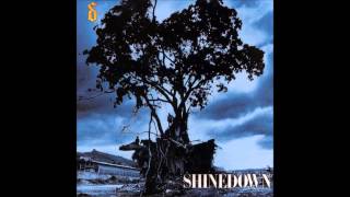 Shinedown - Lost In The Crowd (Planet Of Sound Acoustic Session)