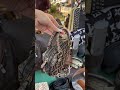 Florence Vintage Markets (must save!!!!)