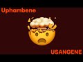 Ice Beats Slide X Sbuda Maleather - Uphambene (Official Audio) | AMAPIANO