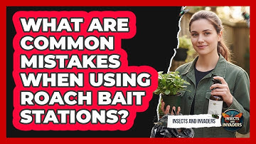 What Are Common Mistakes When Using Roach Bait Stations?