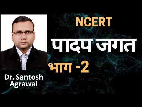 वनस्पति जगत (Plant Kingdom) भाग 2  NCERT biology  class 11th chapter 3 part 2 in hindi