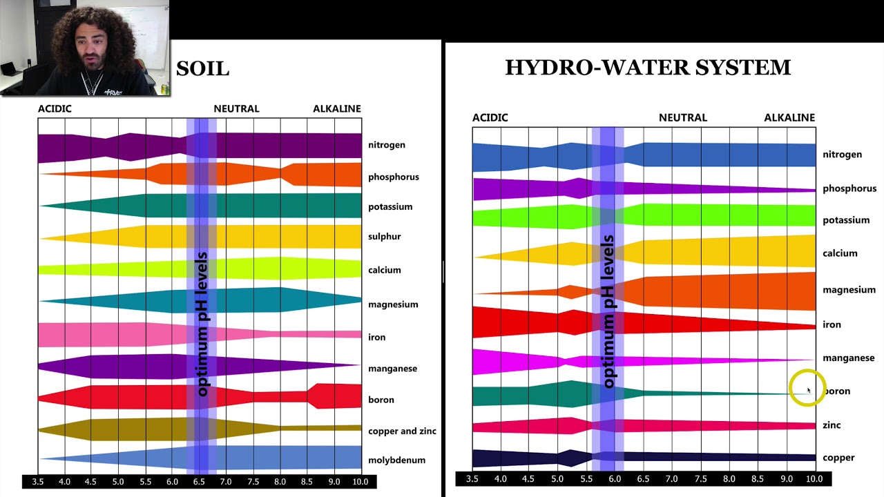 Cannabis PH - Best PH Level For Growing Potent Cannabis - YouTube