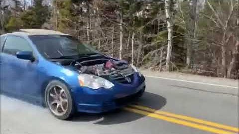 RSX TYPE-S GETS SKUNK2 ALPHA HEADER