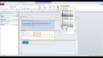 AutoNumerico Con Codigo VBA en Access