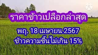 ราคากลางข้าวเปลือกล่าสุด 18 เมษายน 2567 ข้าวเปลือกความชื้นไม่เกิน 15 %