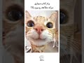 بفرست برای اونی که دلت میخواد سرانه مطالعتو بالا ببره کتاب کتاب صوتی پیشرفت Books ترند 