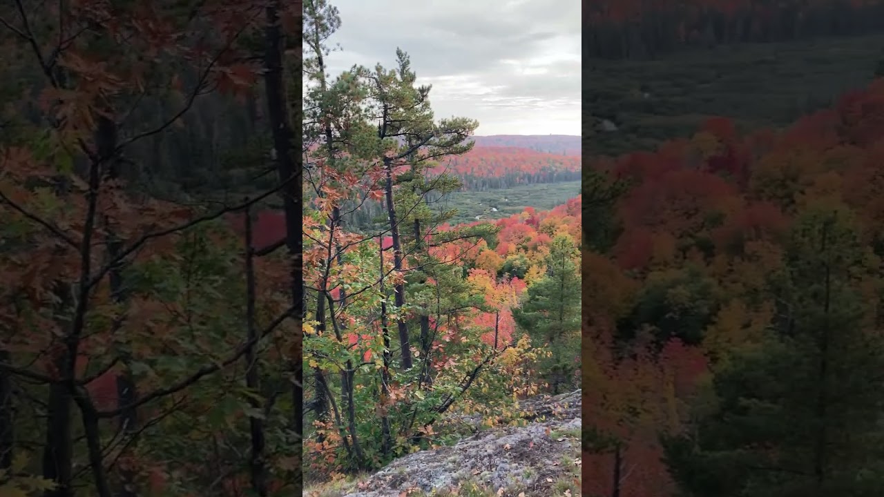 Beautiful fall colors Silver Lake Basin, Marquette county 