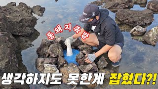 What if you leave pork jokbal in the sea?