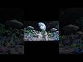 Moon Par Pehla Ped Kab Ugaya Jayega? 🌱🌕 | Future Space Mission Explained”#shorts
