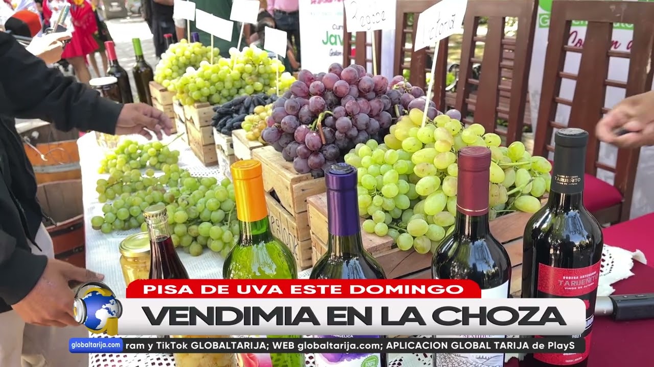 VENDIMIA: EL DOMINGO 1 DE MARZO SE REALIZARÁ LA “PISA DE UVA”