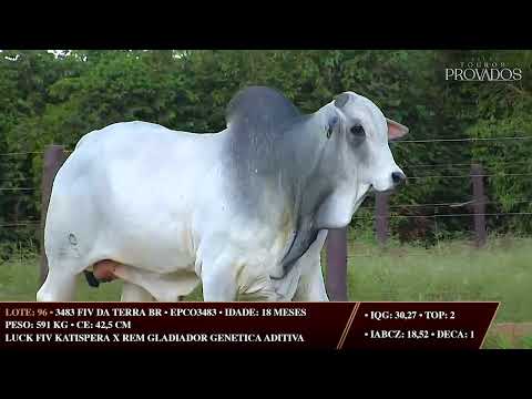 LOTE 96   EPCO 3483