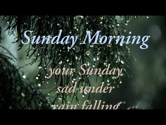 Sunday Morning-Sunny Shin [Lyrics] class=