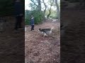 Tony Grampsas Dog Park Golden Co. #dogparklife #younglady #ReflectDogs #Love&Forgiveness
