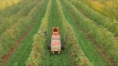 Self Propelled Apple Bin Trailer Mobility