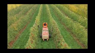 Self Propelled Apple Bin Trailer Mobility