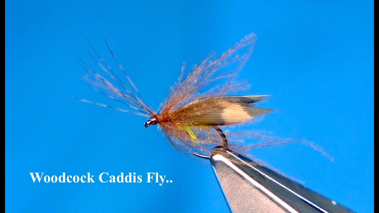 Tying a Woodcock Caddis Fly with Davie McPhail