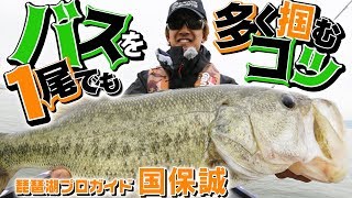 琵琶湖プロガイド国保誠「バスを１尾でも多く掴むコツ」