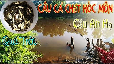 Câu Cá Chốt Hóc Môn Cầu An Hạ Quá Trời | Đi Câu Cá
