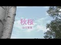 カラオケ 秋桜 コスモス 山口百恵 カラオケ 秋桜 コスモス 山口百恵