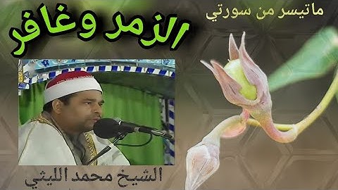 رائعة الشيخ محمد الليثي تلاوة نادرة من سورتي الزمر وغافر ( السطايحة )