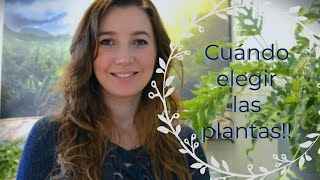 Diseño de jardines  Consejos: Elegir las plantas