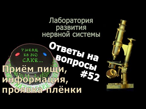 Приём пищи, информация,