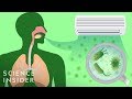 Understanding Household Microbes