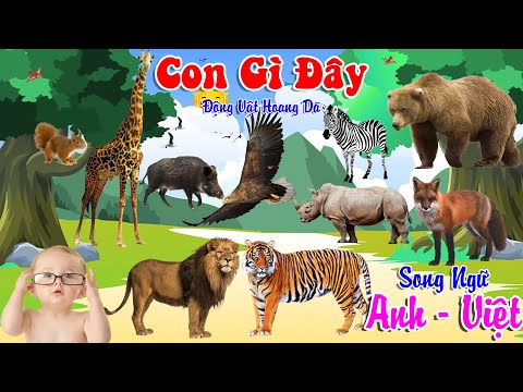 Video Con Gì Đây - Dạy Bé Đọc Tên Các Con Vật - Động Vật... - YouTube