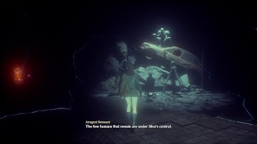 The memory echo of Oliver Collins