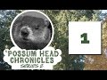 Possum head chronicles series 02 episode 01