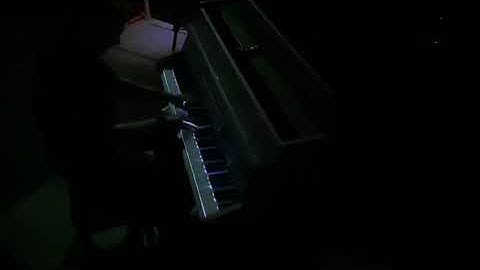 Piano Smart LED Lights