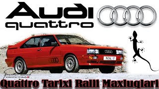 Audi Quattro  100   200 s8  RS2, RS3 ,RS7, R8 Tarixi