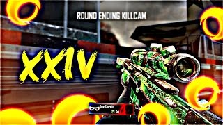 XXIV. #SynRC