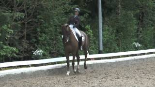 Dominique Bunse Mettmann Reitanlage Löckenhoff