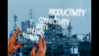 Introduction to Flexibility in the Workplace