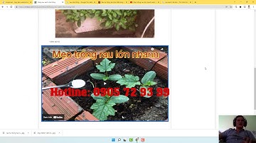 [App Website Shops] Full - Hướng dẫn quản trị web bán hàng