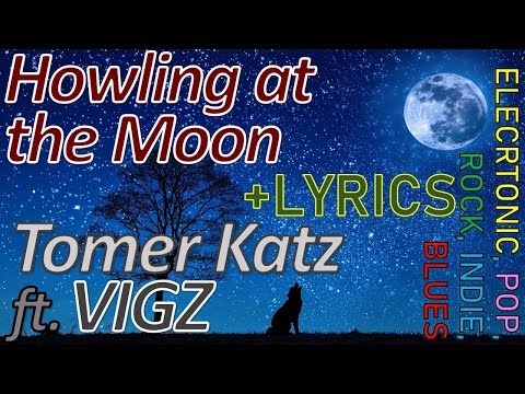 Howling At The Moon Tomer Katz Aka D Fine US Ft VIGZ LYRICS ELECTRONIC POP BLUES INDIE ROCK 