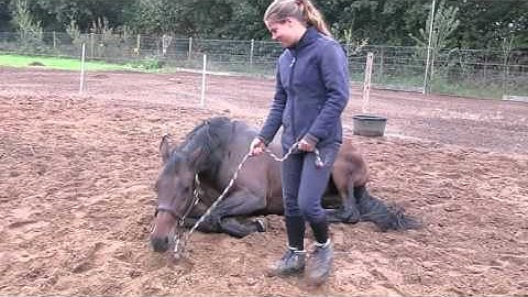 Trust Technique sessie