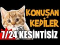 TRT 1 - YouTube