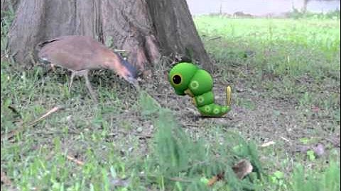 NTU VFX 2014 Assignment #3 MatchMove 46