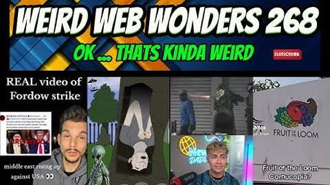 weird web wonders 268