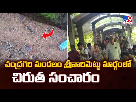 చంద్రగిరి మండలం శ్రీవారిమెట్టు మార్గంలో చిరుత సంచారం | Leopard roaming on Srivarimettu road - TV9