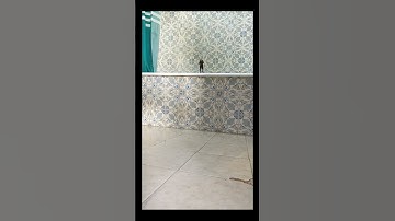 Me being the ant man #shorts