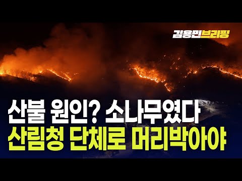 <strong>산불</strong> <strong>원인</strong>? 소나무였다...산림청 단체로 머리박아야 [토픽]